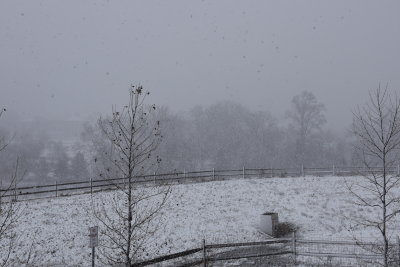March 2nd snowfall