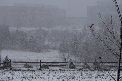 March 2nd snowfall