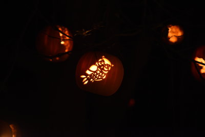 DSC_0776.JPG
