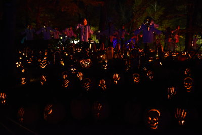 DSC_0840.JPG