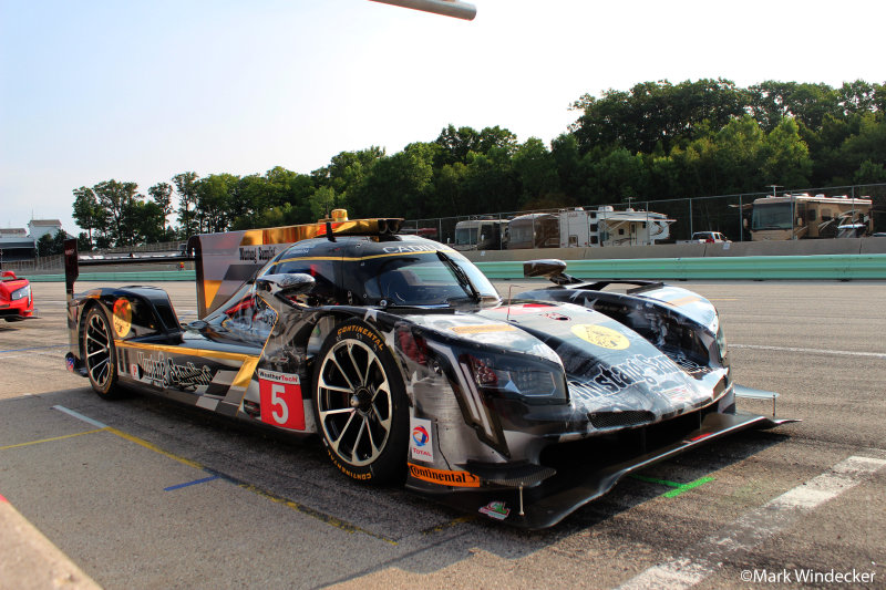 P-Mustang Sampling Racing Cadillac DPi-V.R #P217-003 (Dallara) 