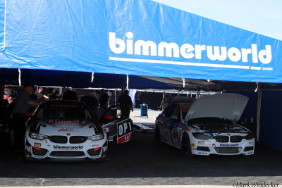 BimmerWorld Racing GS #82-BMW M4 GT4 ST #81-BMW 328i