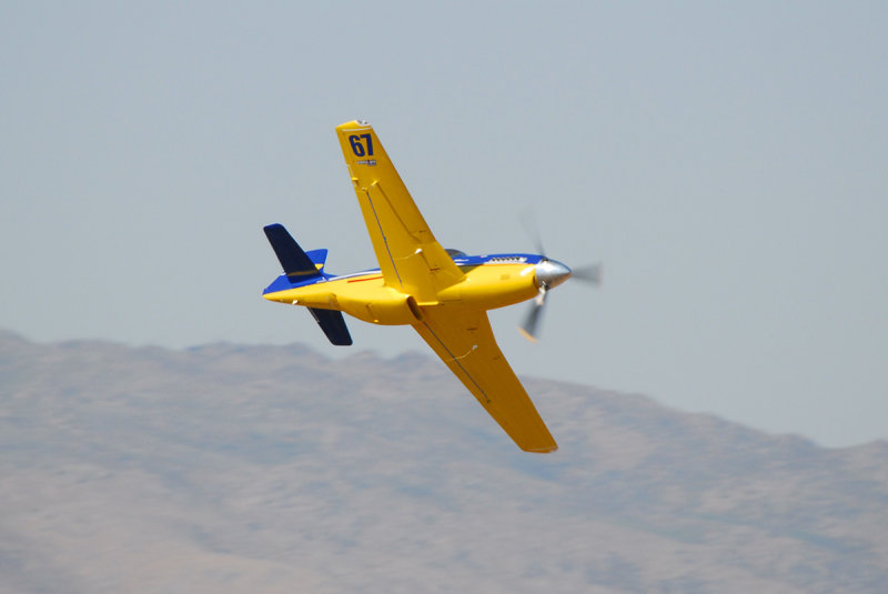 DSC_0556 b.jpg