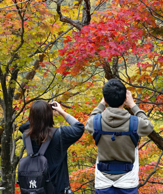 Fall in Hokkaido