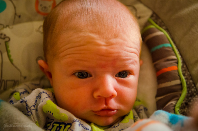 kaden_sol-101.JPG