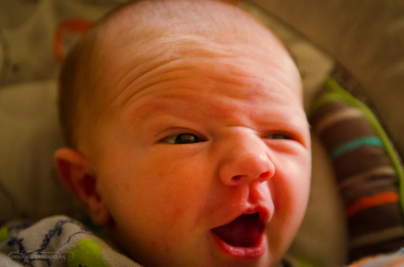 kaden_sol-103.JPG