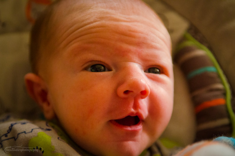 kaden_sol-104.JPG