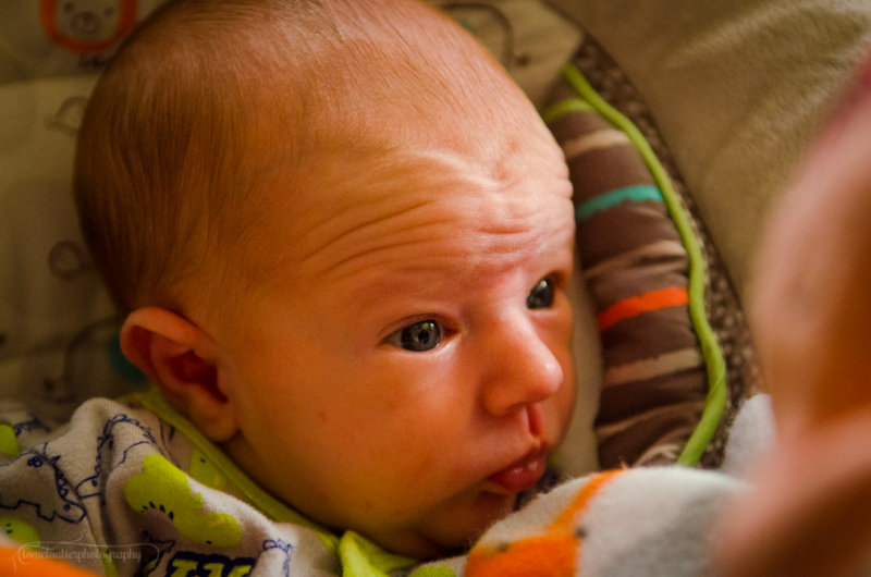 kaden_sol-108.JPG