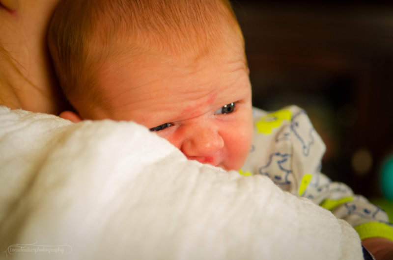kaden_sol-115.JPG