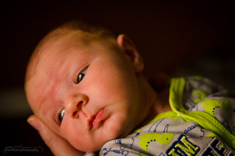 kaden_sol-122.JPG