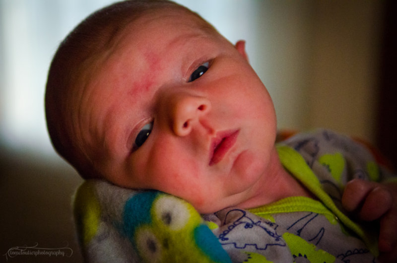 kaden_sol-123.JPG