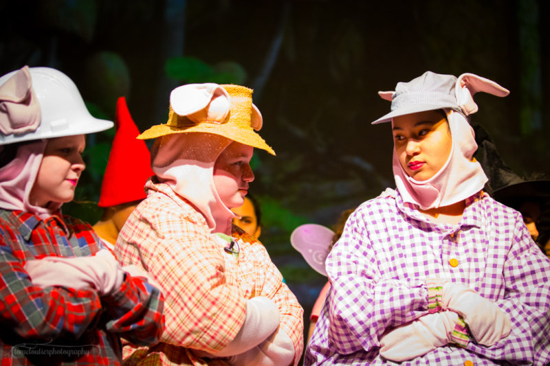 FLMS-Shrek-50.JPG