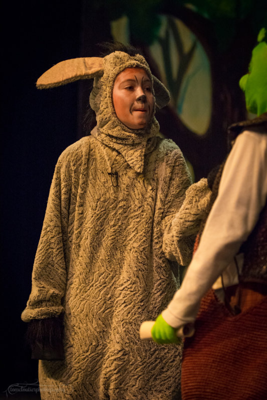 FLMS-Shrek-86.JPG