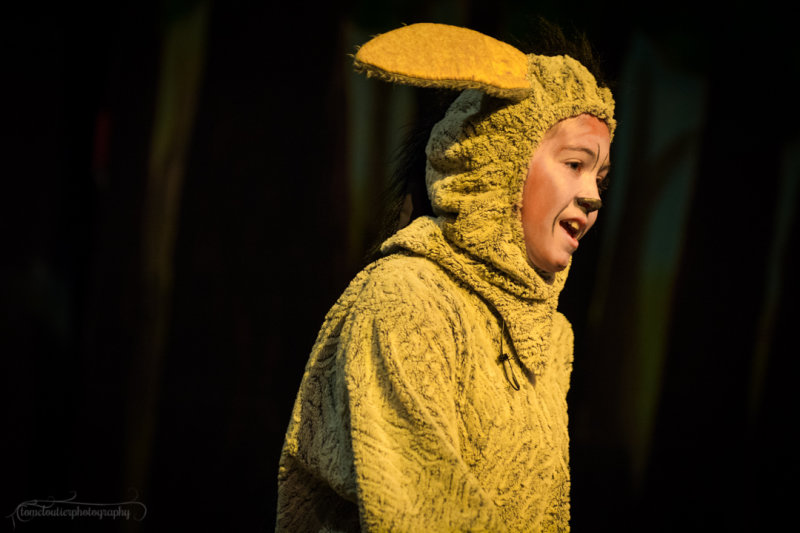 FLMS-Shrek-97.JPG