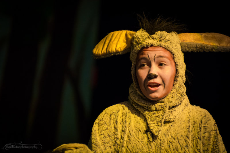 FLMS-Shrek-101.JPG