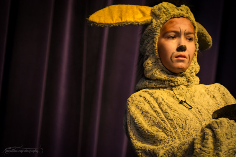 FLMS-Shrek-184.JPG