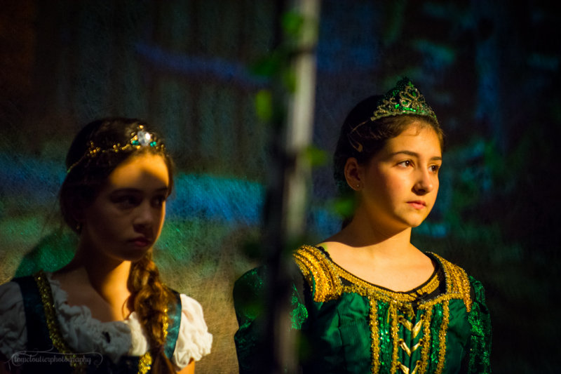FLMS-Shrek-190.JPG