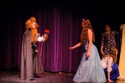 FLMS-Beauty2017-18.JPG