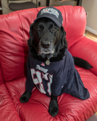 ready for the Superbowl GO PATS   Feb 4 2018-1080227.jpg