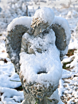 Angel