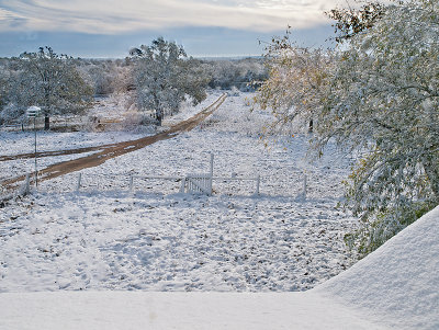 Looking out bedroom window