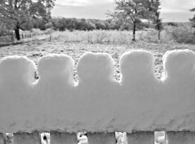 Fence #2 