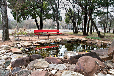 Fish pond and red bench
