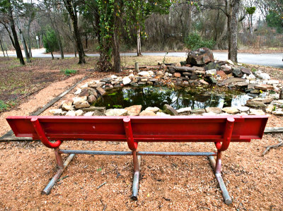 Red bench and fish pond