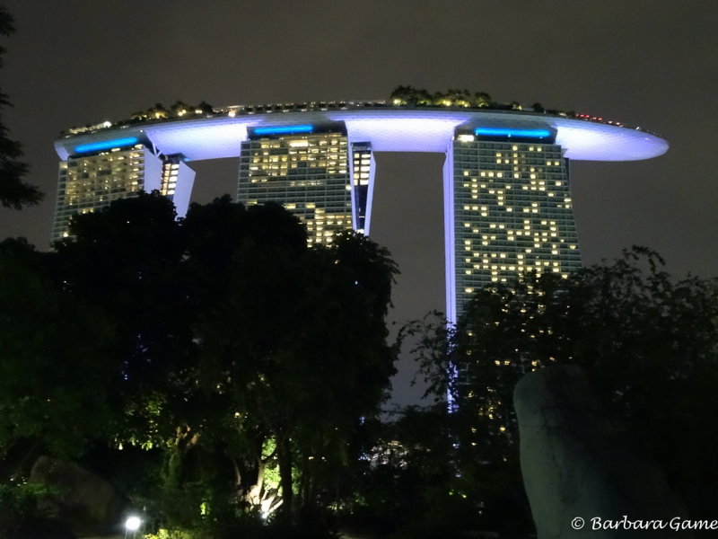 Marina Sands Hotel at the Gardens by the Bay