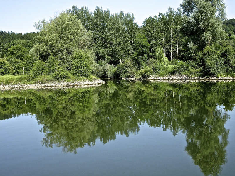 Danube Reflections