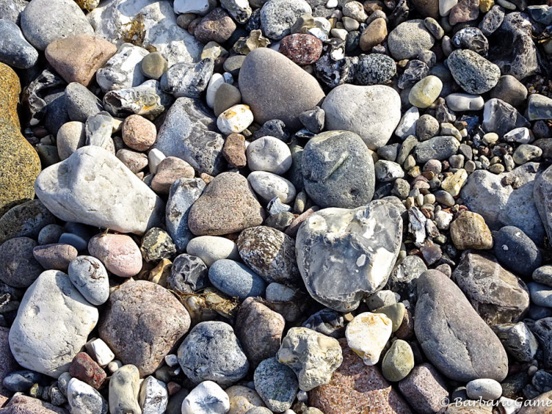 Rock tapestry, Staberhuk Strand, Fehmarn Island