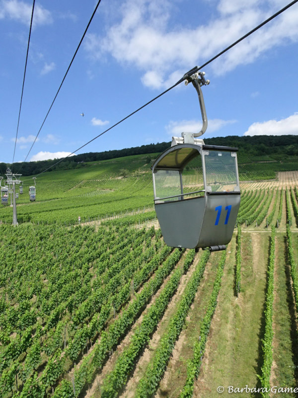 Ruedesheim Gondola Ride
