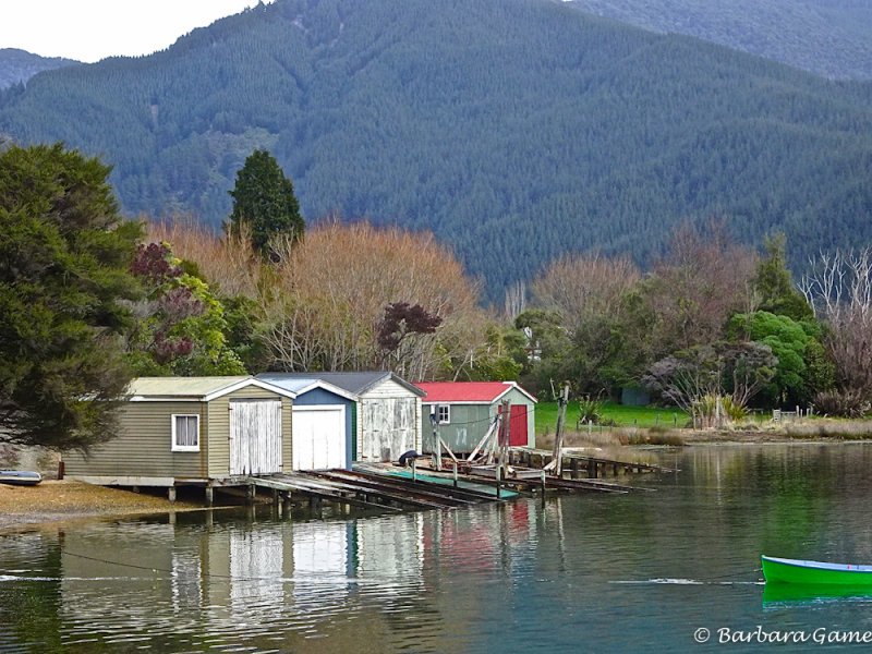 Scene along the Queen Charlotte Drive, Marlborough Sounds
