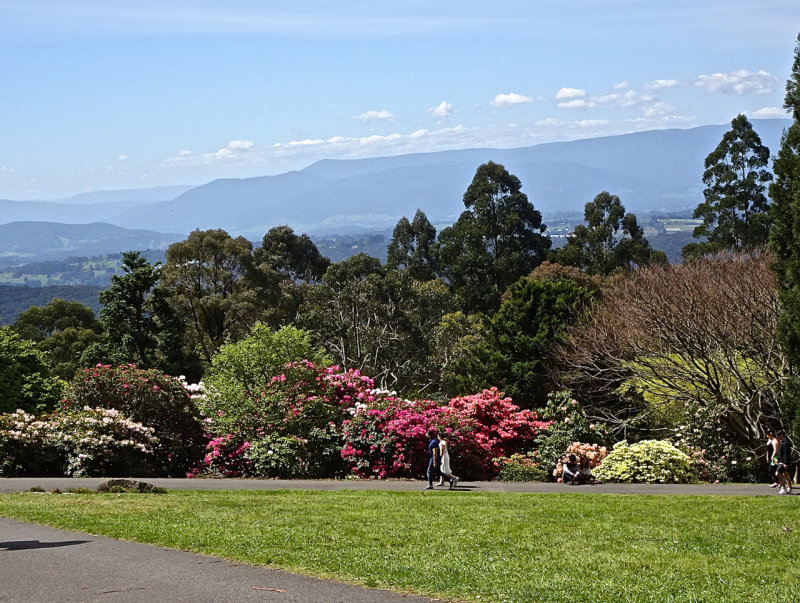 National Rhododendron Gardens, 2017