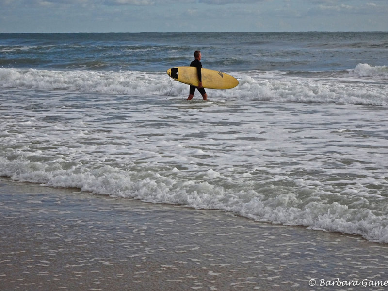 One boy into the surf!   2017