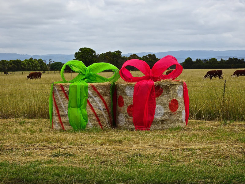 Hay bales make good gifts in country Victoria  2017