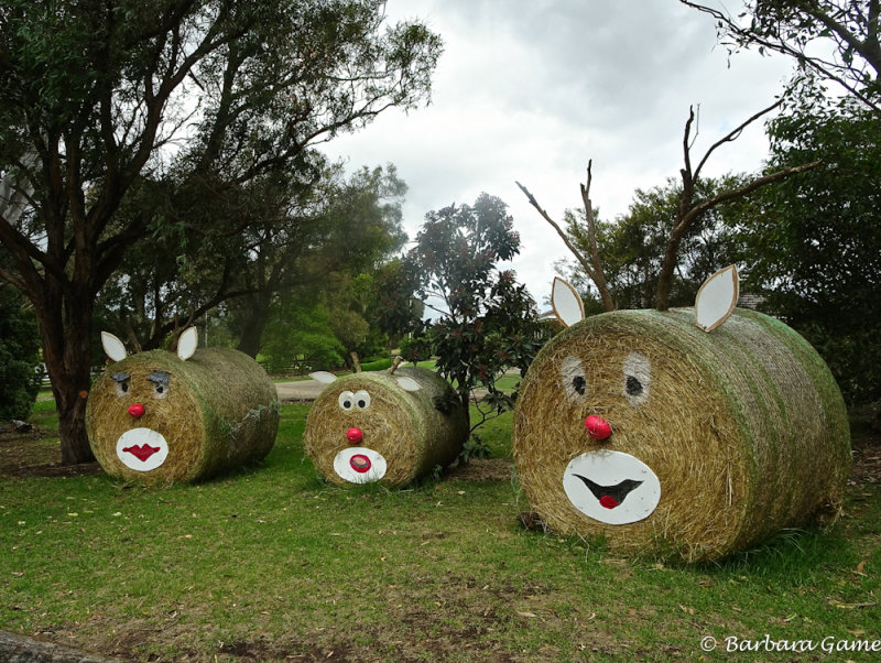Hay bales, Rudolph and family, Gippsland Victoria