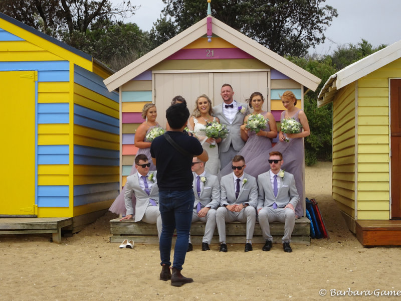 The bridal party poses, Dendy St Beach, Brighton