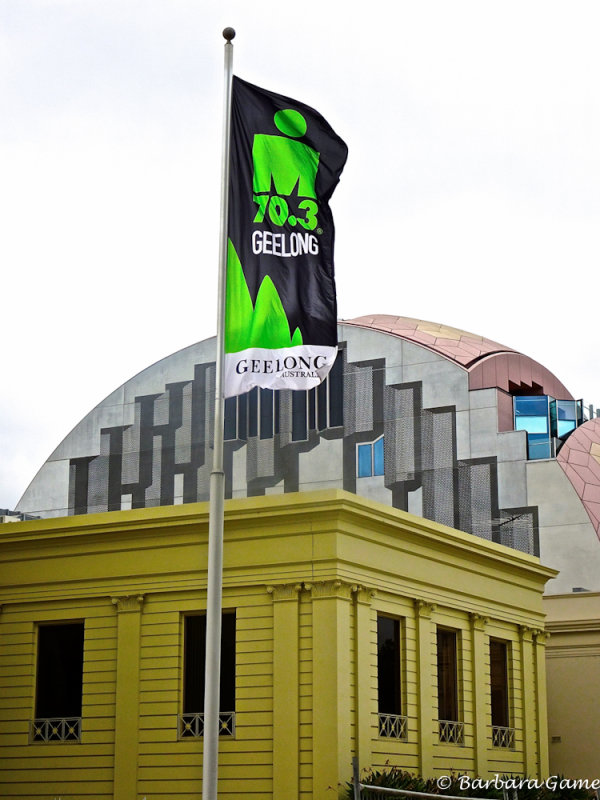 Geelong Art Gallery, with new Library behind