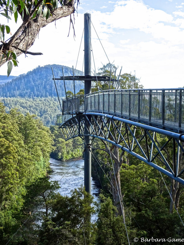 Tahune Air Walk, Huon River, Geevestone, 2018