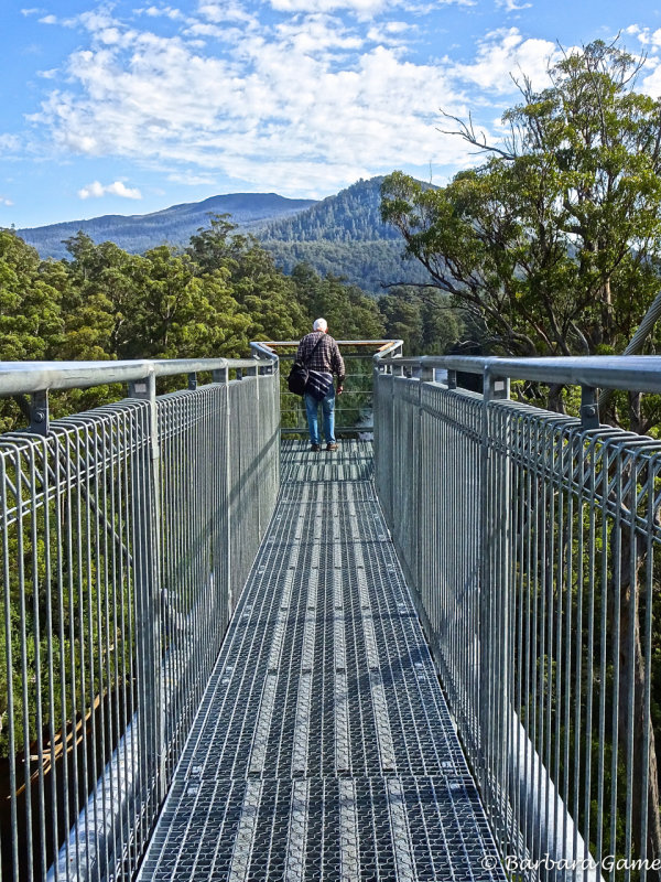 Tahune Air Walk, Huon River, Geevestone, 2018