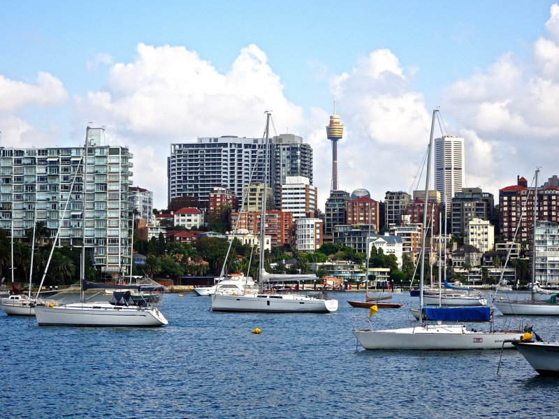 View to central Sydney from around Darling Point