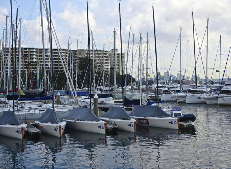 Yachts at the Royal Motor Yacht Club on a sunny Saturday morning.