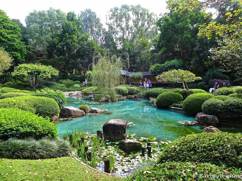 Japanese Garden, Mount Coot-tha Botanic Gardens