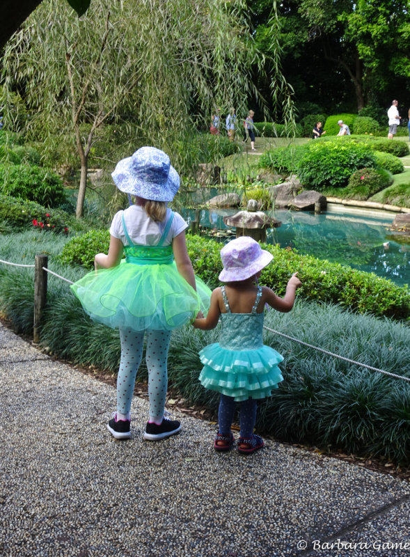 Japanese garden visitors, Mount Coot-tha Botanic Gardens