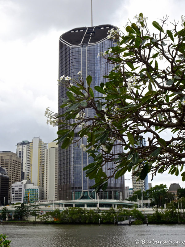 Across the Brisbane River