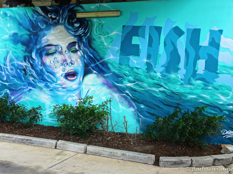Street art in Brisbane, Fish Lane