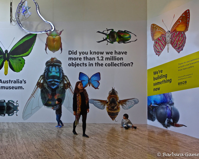 Queensland Museum