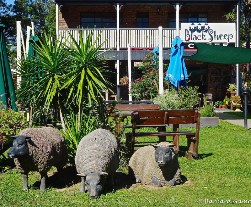 Cafe in Samford, hills outside Brisbane