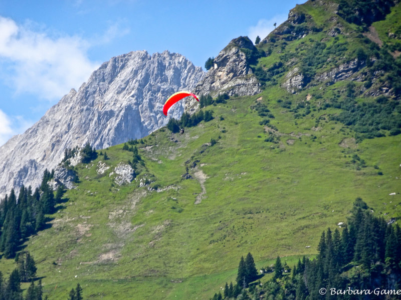 Hang glider, above Kandersteg